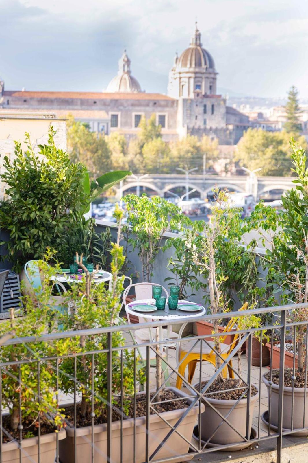 Rooftop53 Bed & Breakfast