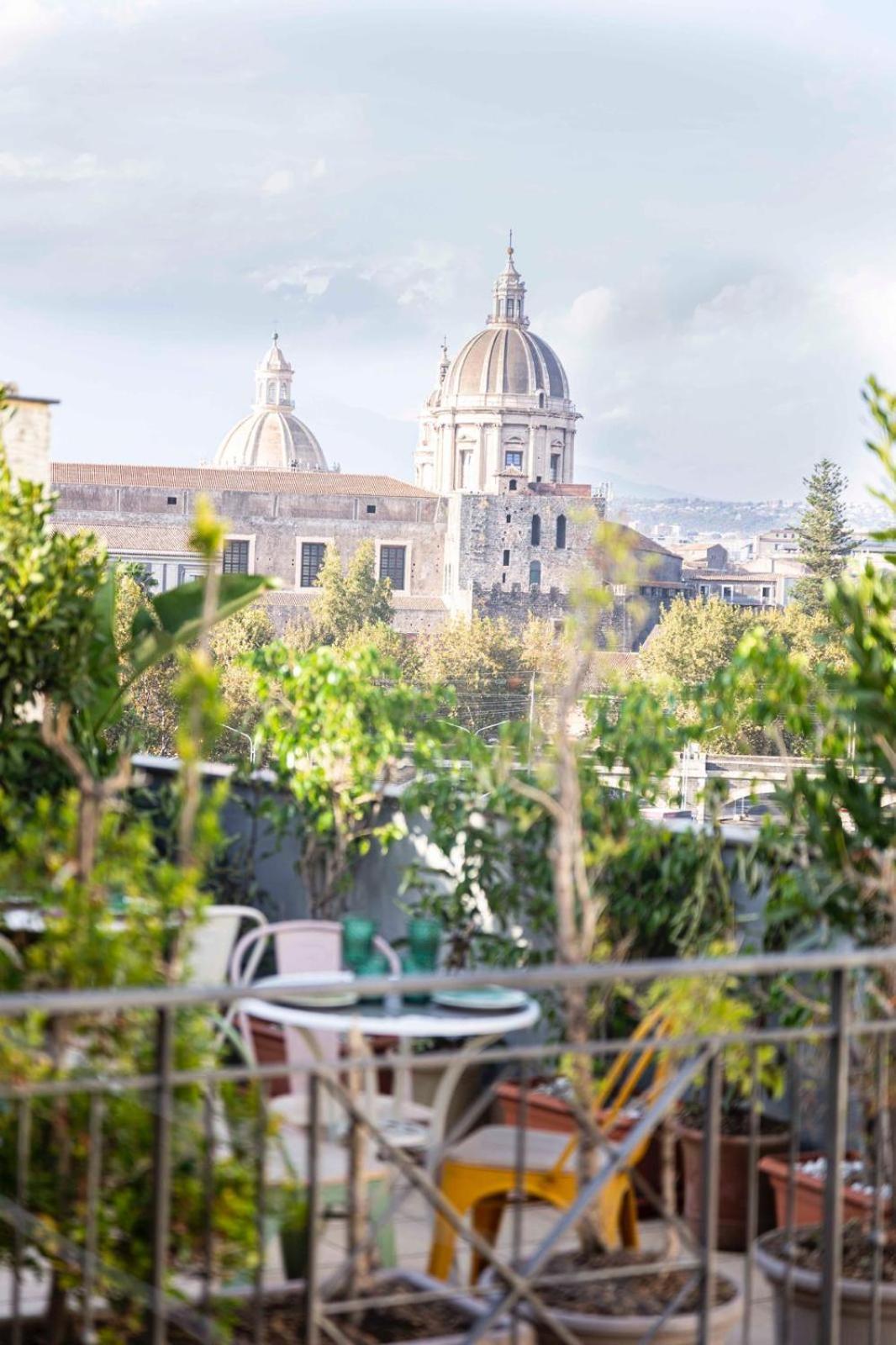 Bed & Breakfast Rooftop53